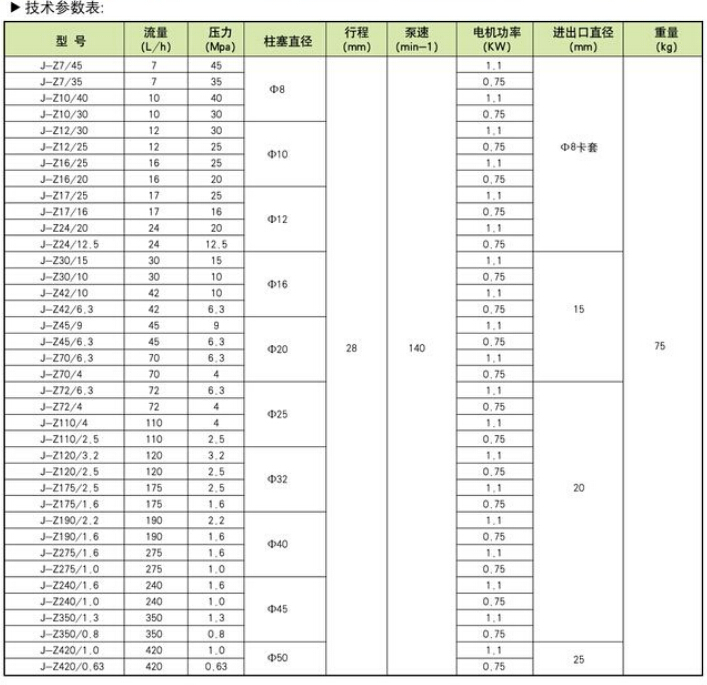 J-Z系列柱塞式计量泵(图3)